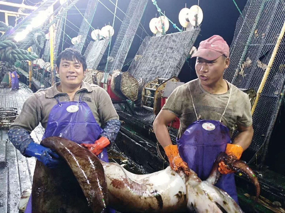 海上生活